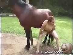 Man getting fucked by three horses